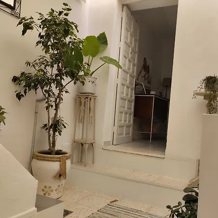 La Casa De Loto * Alcalá de los Gazules